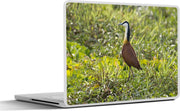 Laptop sticker - 10.1 inch - Afrikaanse jacana kijkt over de natuur uit