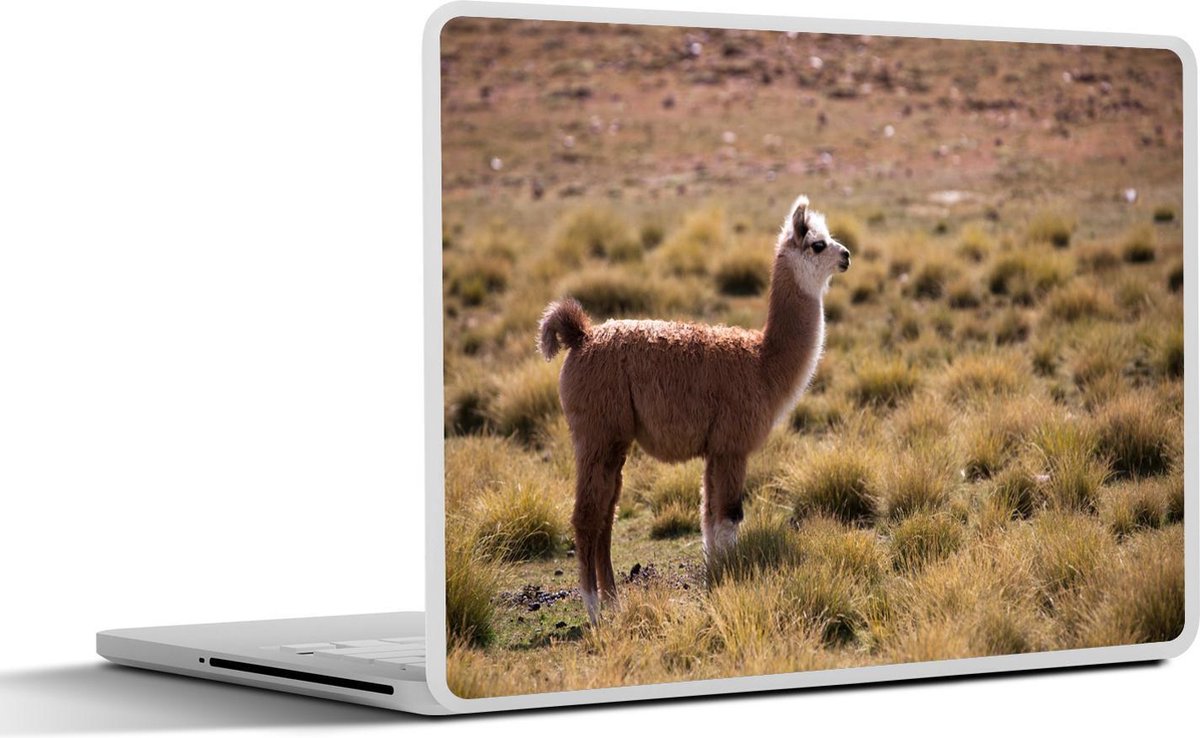 Laptop sticker - 10.1 inch - Alpaca in grasveld
