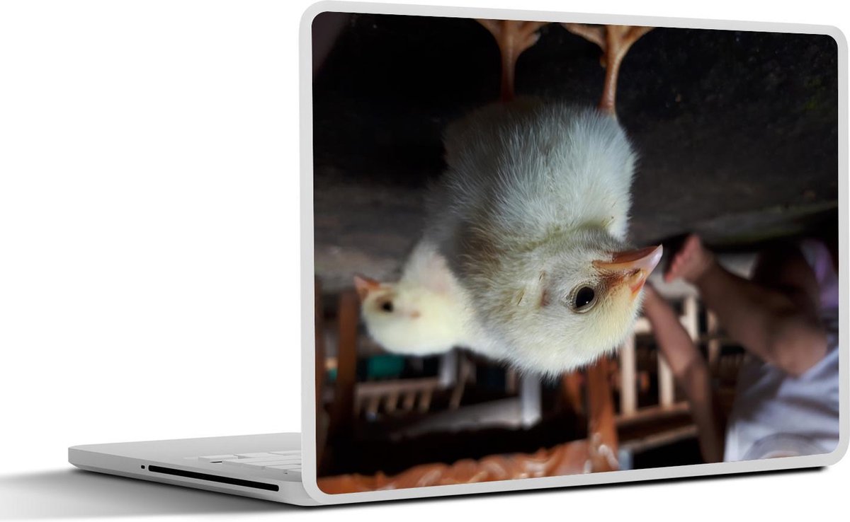 Laptop sticker - 10.1 inch -  een kuiken