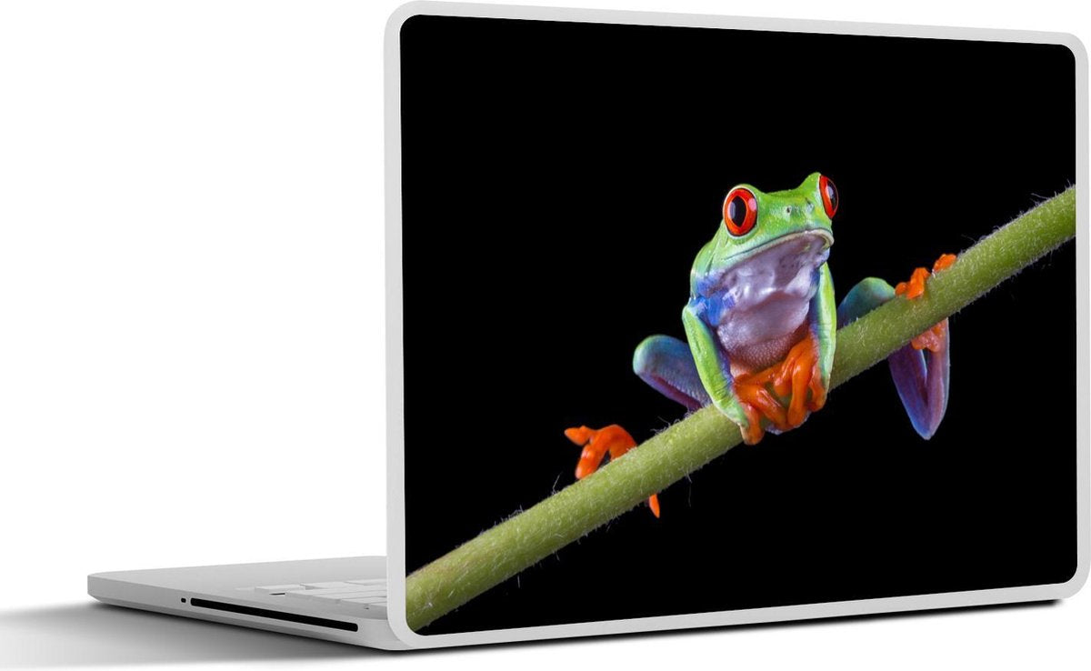 Laptop sticker - 10.1 inch -  een kikker op een zwarte achtergrond