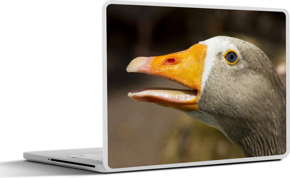Laptop sticker - 10.1 inch -  een kolgans