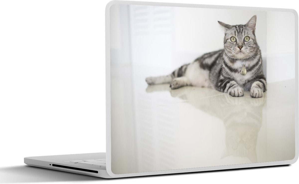 Laptop sticker - 10.1 inch - Amerikaanse korthaar kat