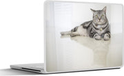 Laptop sticker - 10.1 inch - Amerikaanse korthaar kat