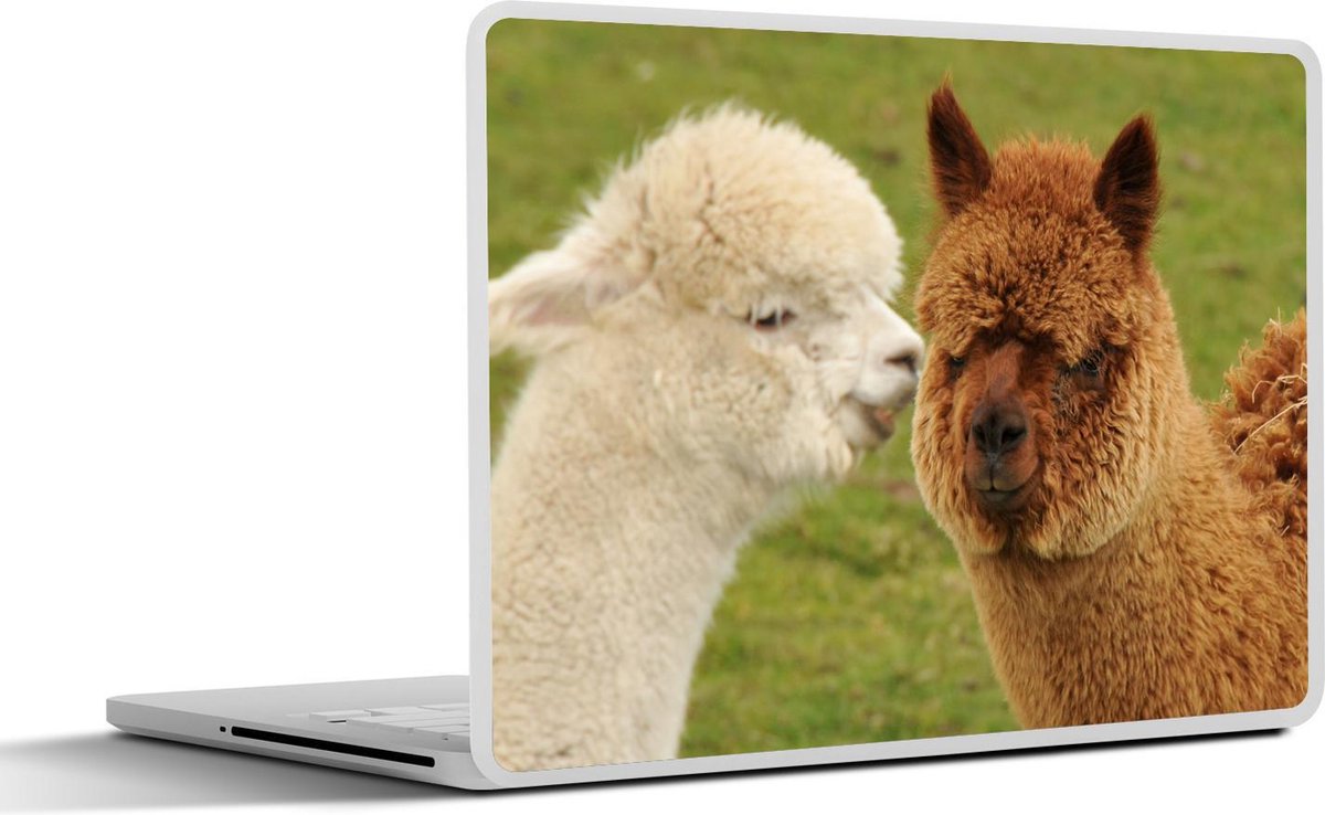 Laptop sticker - 10.1 inch - Alpaca-paar