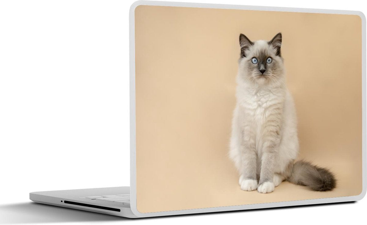 Laptop sticker - 10.1 inch -  pluizige kat