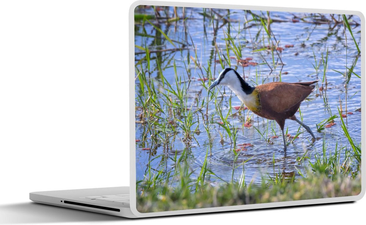 Laptop sticker - 10.1 inch - Afrikaanse jacana of lotusvogel loopt door het water in een nationaal park