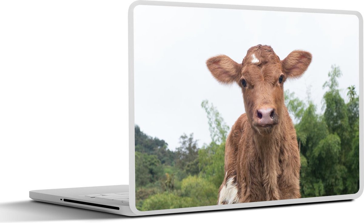 Laptop sticker - 10.1 inch -  een bruin kalf