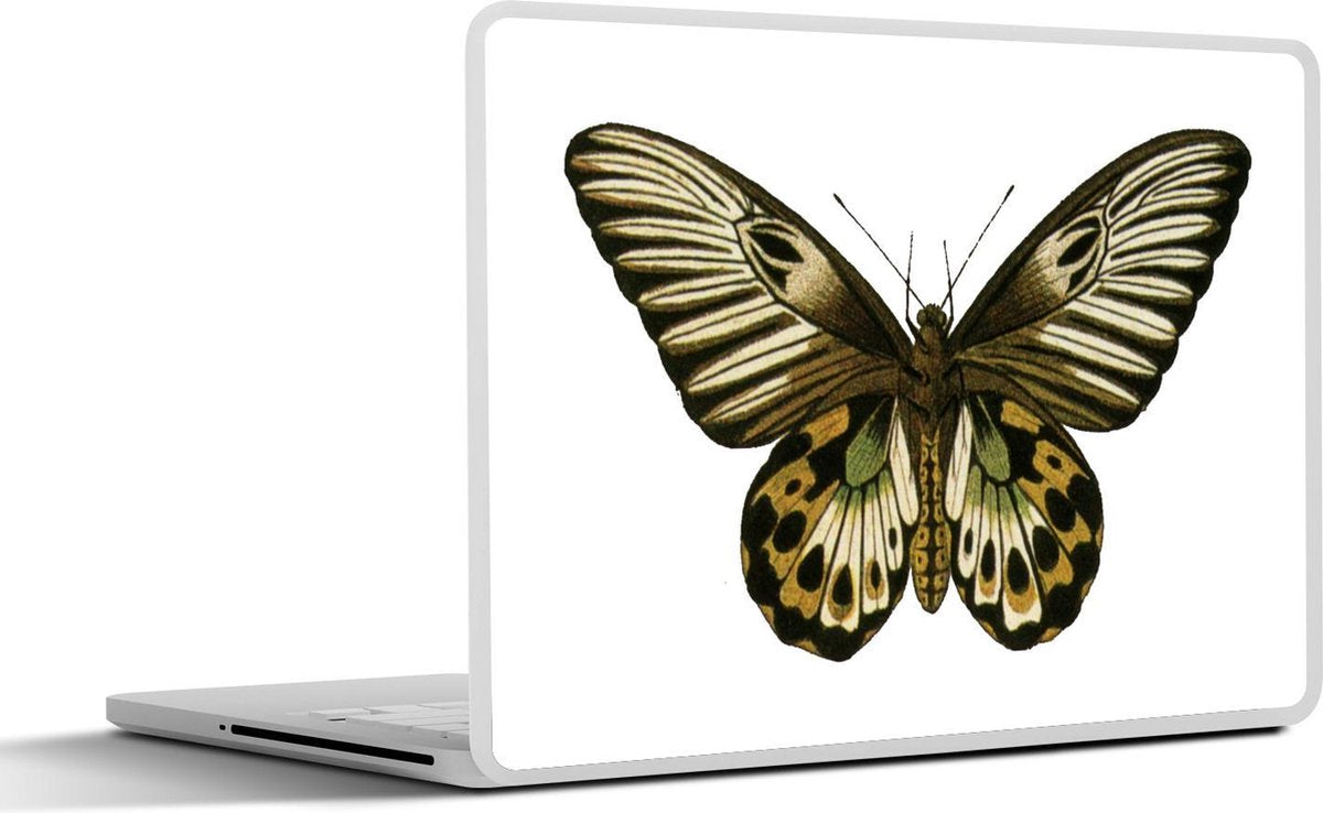 Laptop sticker - 10.1 inch - Illustratie van een lichtbruin met groene vlinder