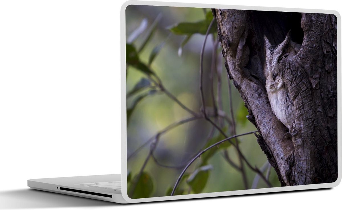 Laptop sticker - 10.1 inch - Indische dwergooruil in een boomgat