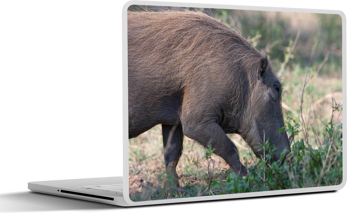 Laptop sticker - 10.1 inch -  een wild varken in de wildernis