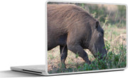 Laptop sticker - 10.1 inch -  een wild varken in de wildernis