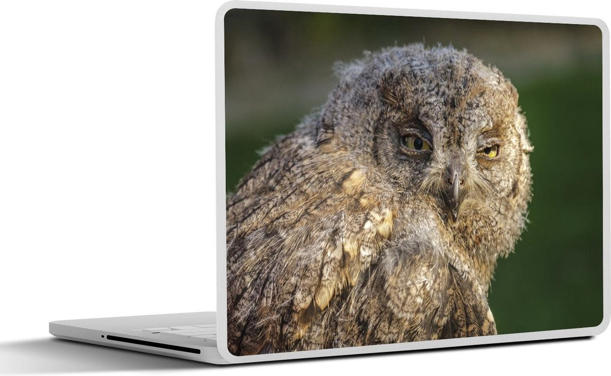 Laptop sticker - 10.1 inch -  een dwergooruil met een onscherpe achtergrond