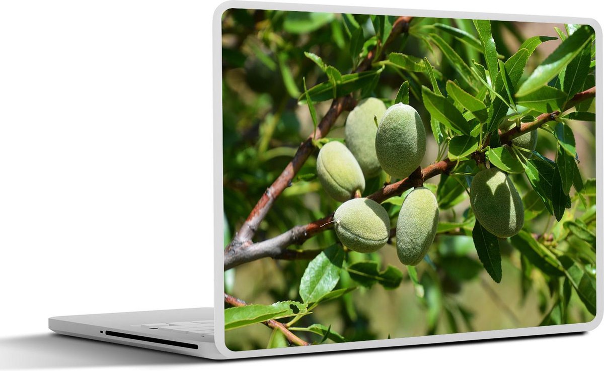 Laptop sticker - 10.1 inch - Amandelnoten aan een tak