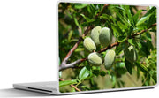 Laptop sticker - 10.1 inch - Amandelnoten aan een tak