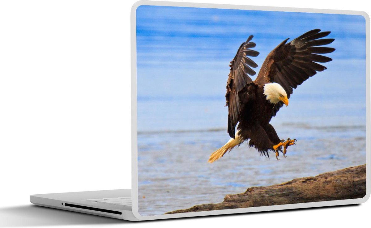 Laptop sticker - 10.1 inch - Amerikaanse zeearend maakt landing op strand