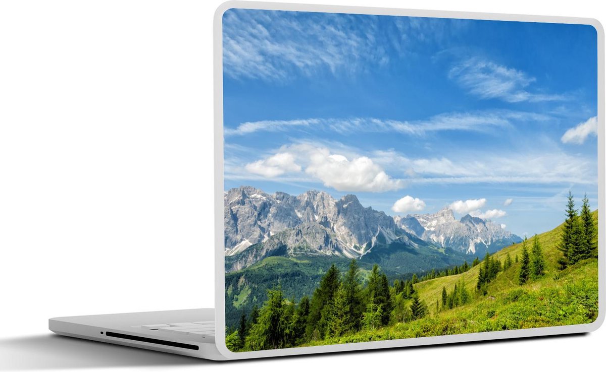 Laptop sticker - 10.1 inch - Alpen - Bergen - Gras