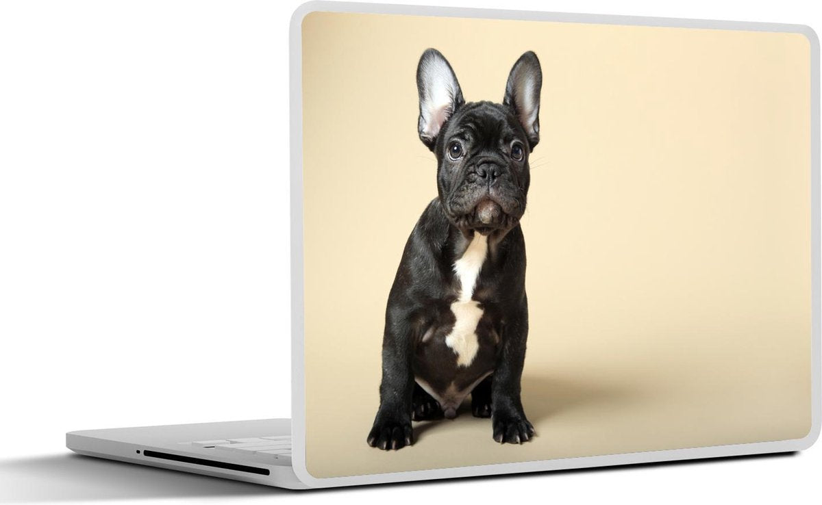 Laptop sticker - 10.1 inch -  een jonge zwarte Franse buldog