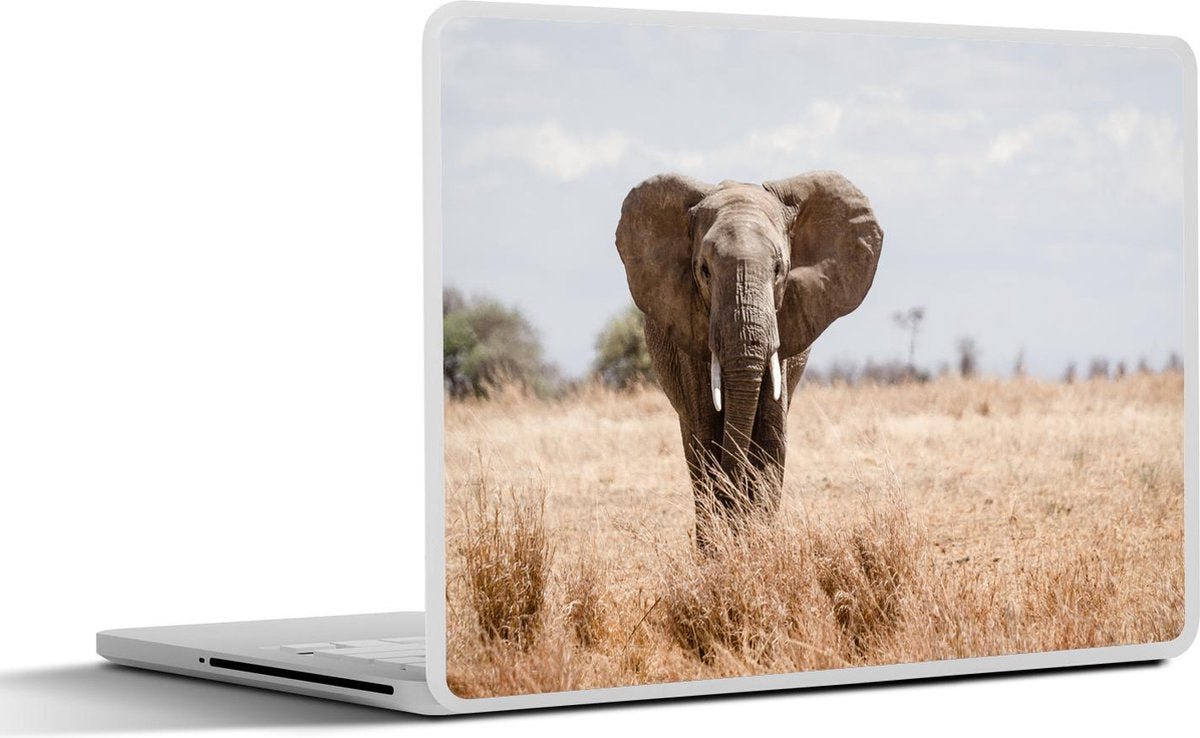 Laptop sticker - 10.1 inch - Intimiderend loopt de olifant naar de camera
