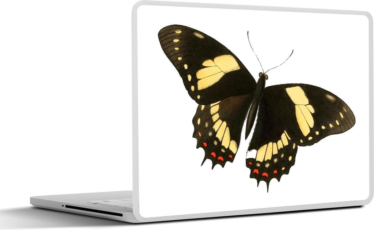 Laptop sticker - 10.1 inch - Illustratie van een Papilio cresphontes vlinder