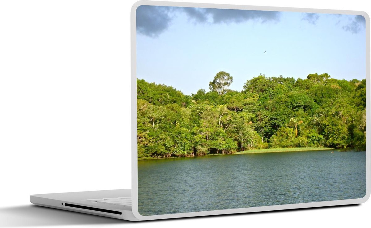 Laptop sticker - 10.1 inch - Amazone rivier