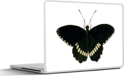 Laptop sticker - 10.1 inch - Illustratie van een zwarte vlinder met witte details