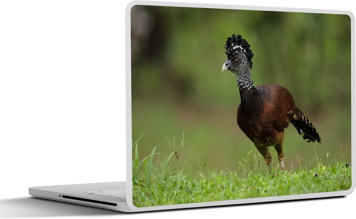 Laptop sticker - 10.1 inch - Afbeelding van een bruine hokko
