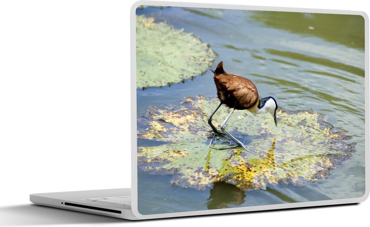 Laptop sticker - 10.1 inch - Afrikaanse jacana als middelpunt van drijvende vegetatie in het water