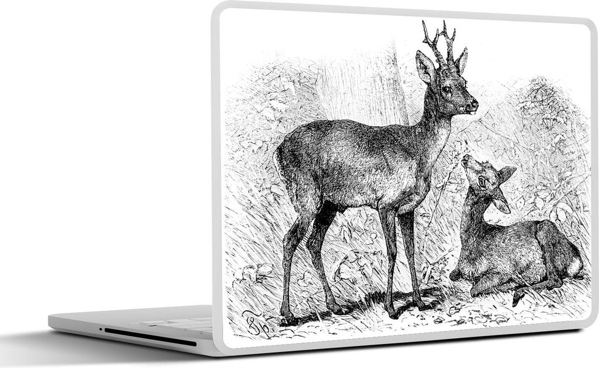 Laptop sticker - 10.1 inch - Illustratie van twee reeën