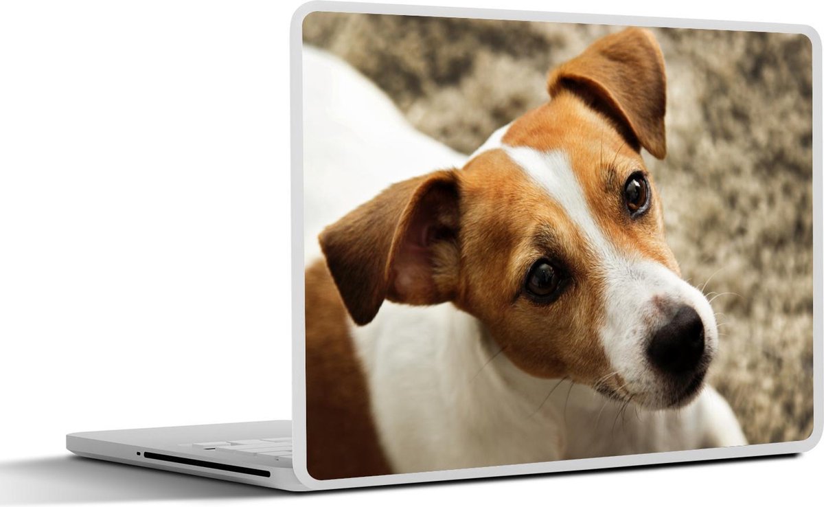 Laptop sticker - 10.1 inch - Jack Russel die omhoog kijkt