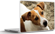 Laptop sticker - 10.1 inch - Jack Russel die omhoog kijkt