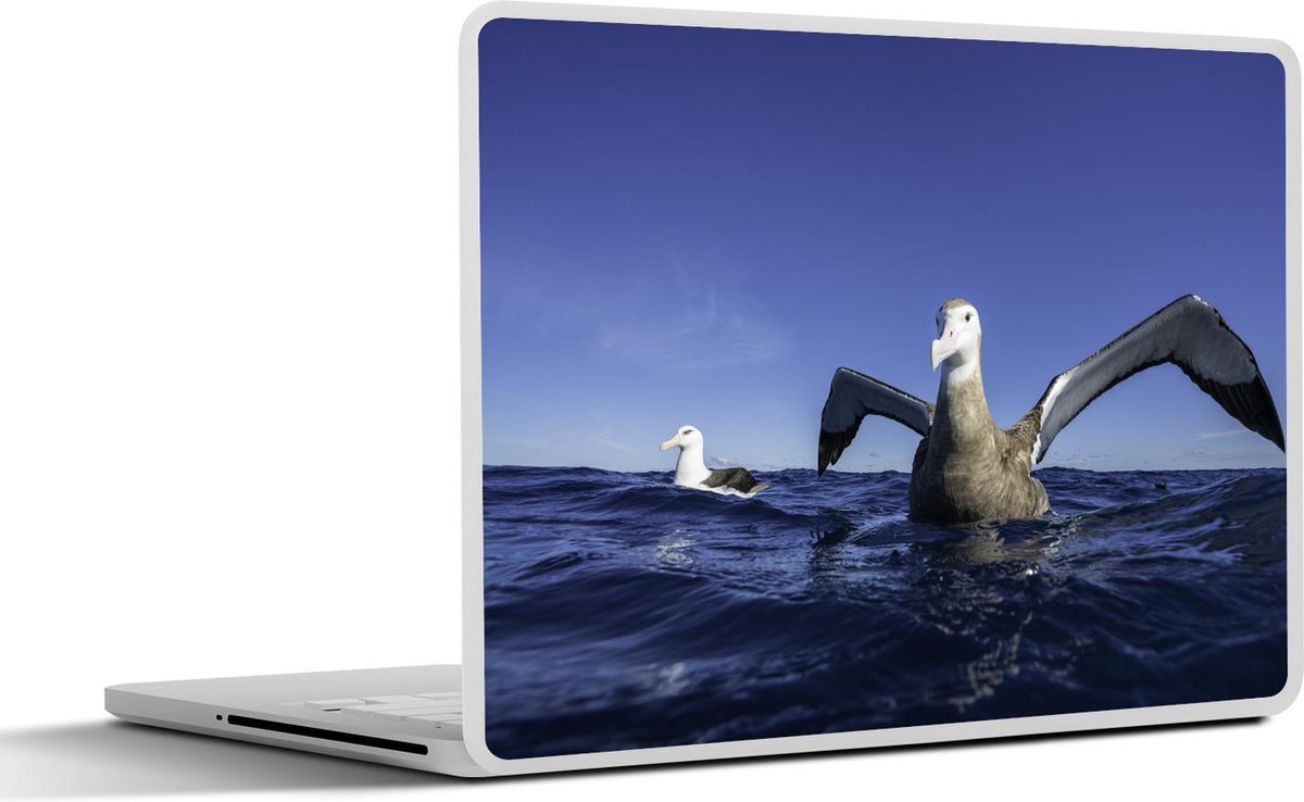 Laptop sticker - 10.1 inch - Albatros aan het zwemmen met open vleugels