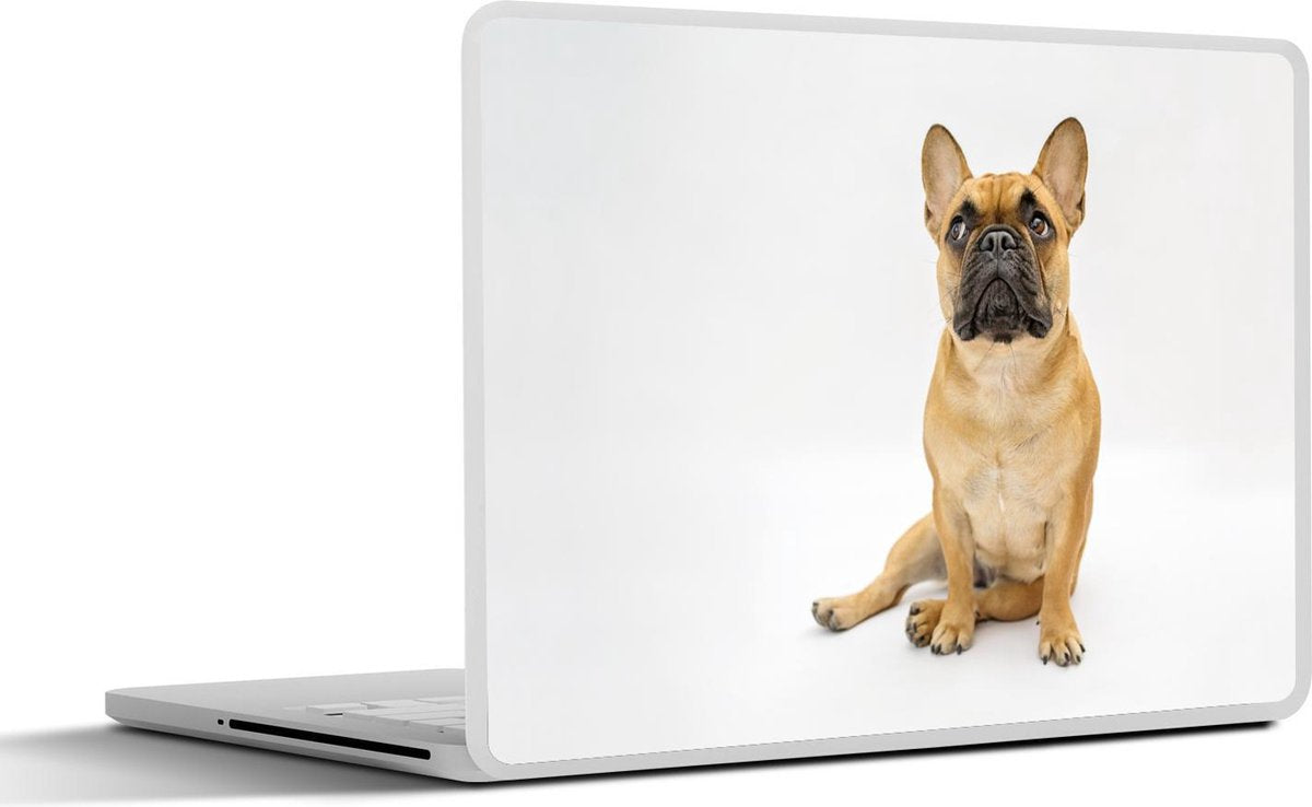 Laptop sticker - 10.1 inch -  een Franse buldog