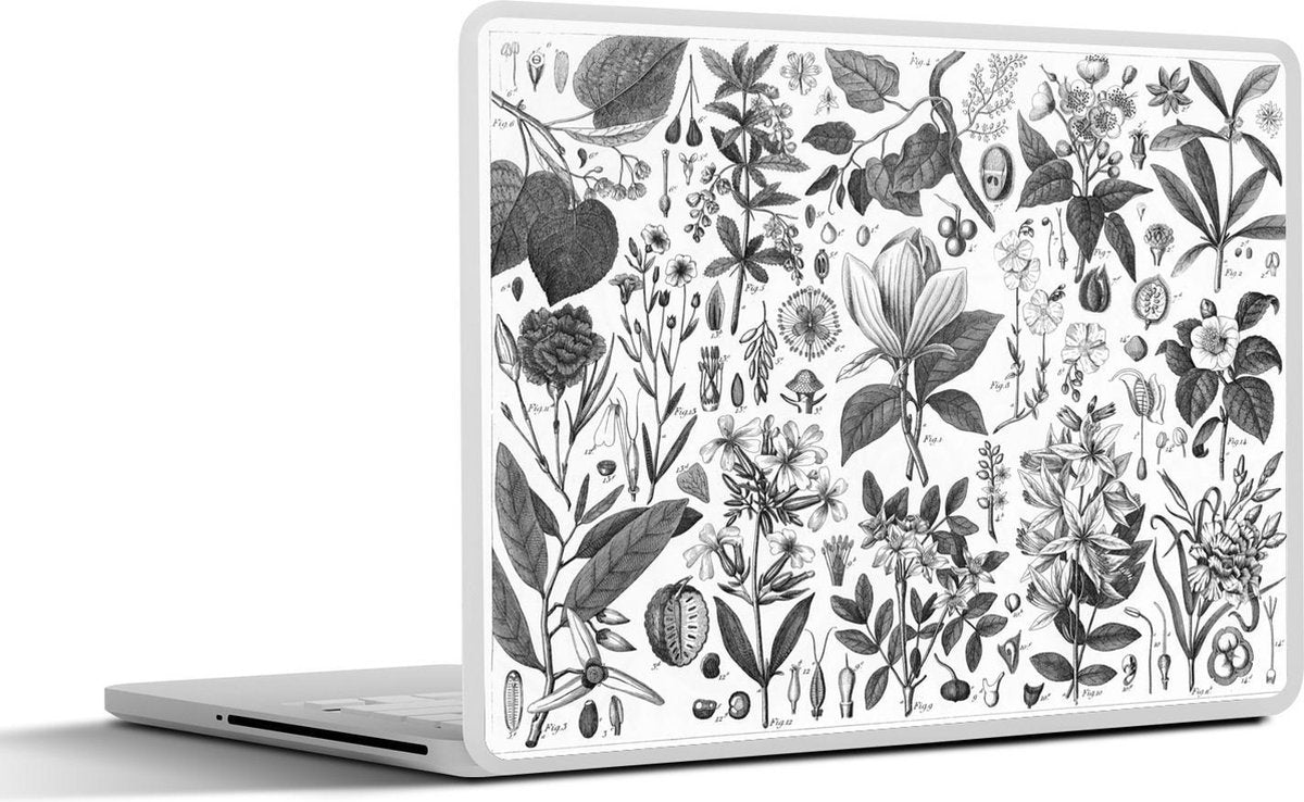 Laptop sticker - 10.1 inch - Illustraties van verschillende plantenfamilies
