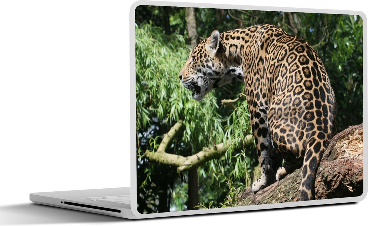 Laptop sticker - 10.1 inch - Jaguar - Boom - Jungle