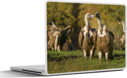 Laptop sticker - 10.1 inch - Aantal vale gieren op een grasveld