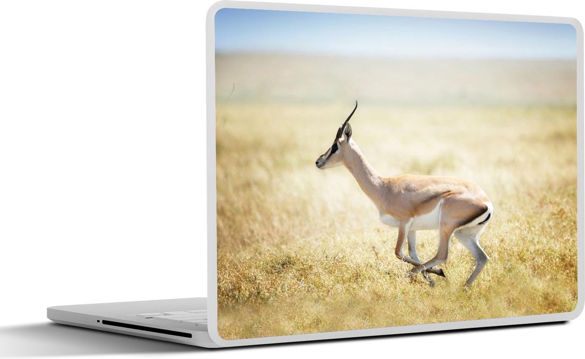 Laptop sticker - 10.1 inch - Afrika - Gazelle - Gras