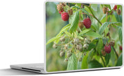 Laptop sticker - 10.1 inch - In bloei frambozenstruik