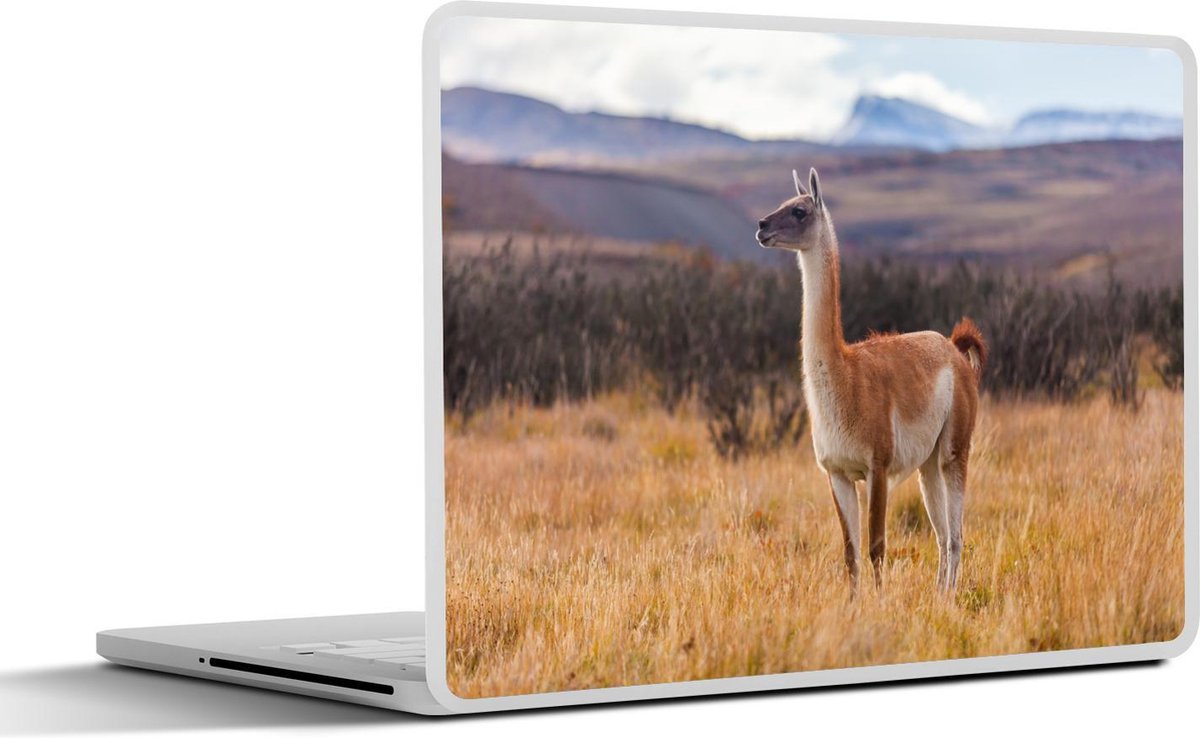 Laptop sticker - 10.1 inch - Alpaca in het hoge gras