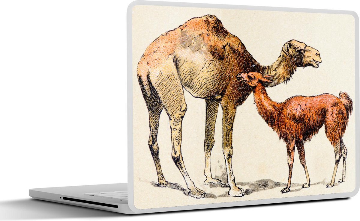 Laptop sticker - 10.1 inch - Illustratie van een dromedaris en een lama