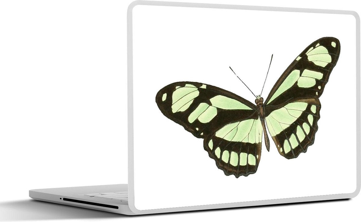 Laptop sticker - 10.1 inch - Illustratie van een vlinder met groene en zwarte vleugels