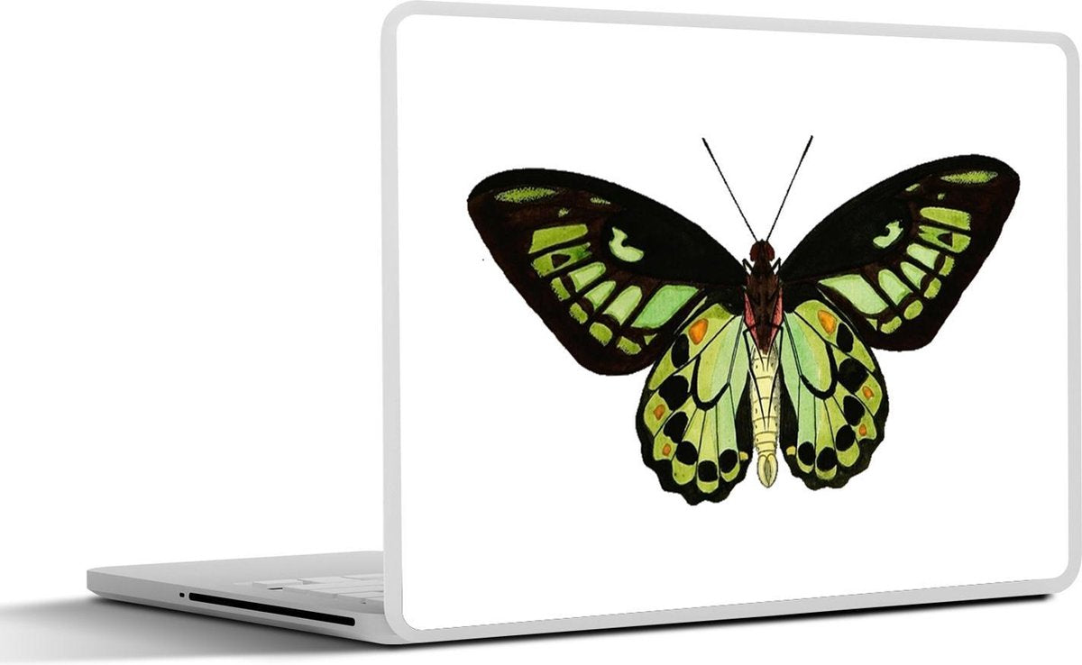 Laptop sticker - 10.1 inch - Illustratie van een groene vlinder met zwarte strepen