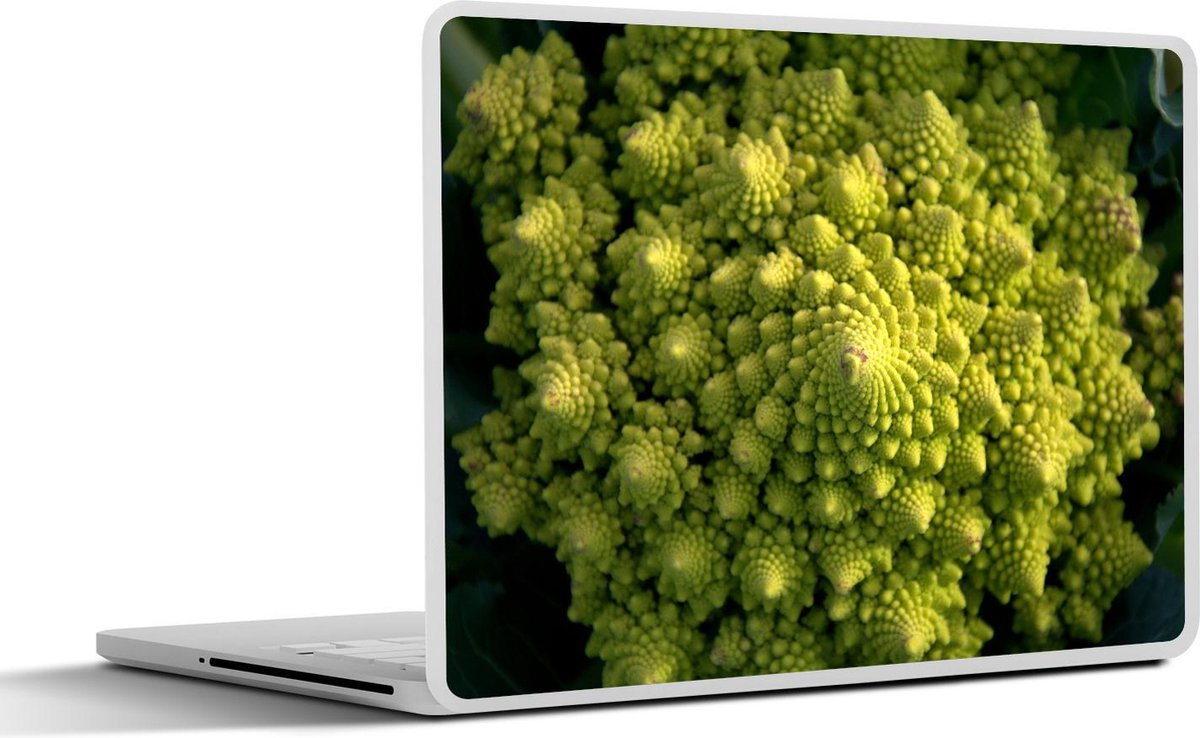 Laptop sticker - 10.1 inch - Afbeelding van een romanesco met een donkere achtergrond