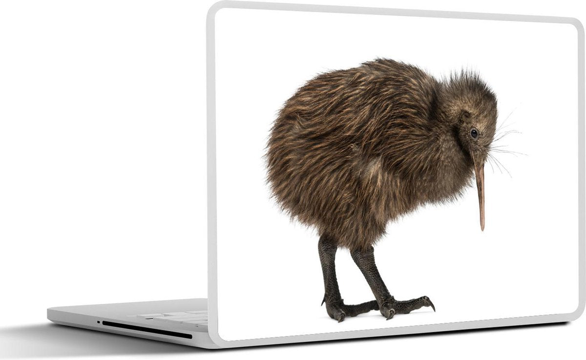 Laptop sticker - 10.1 inch - Afbeelding van een apteryx