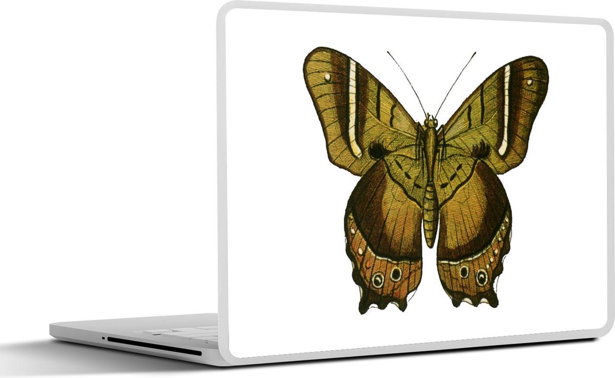 Laptop sticker - 10.1 inch - Illustratie van een groenbruine vlinder
