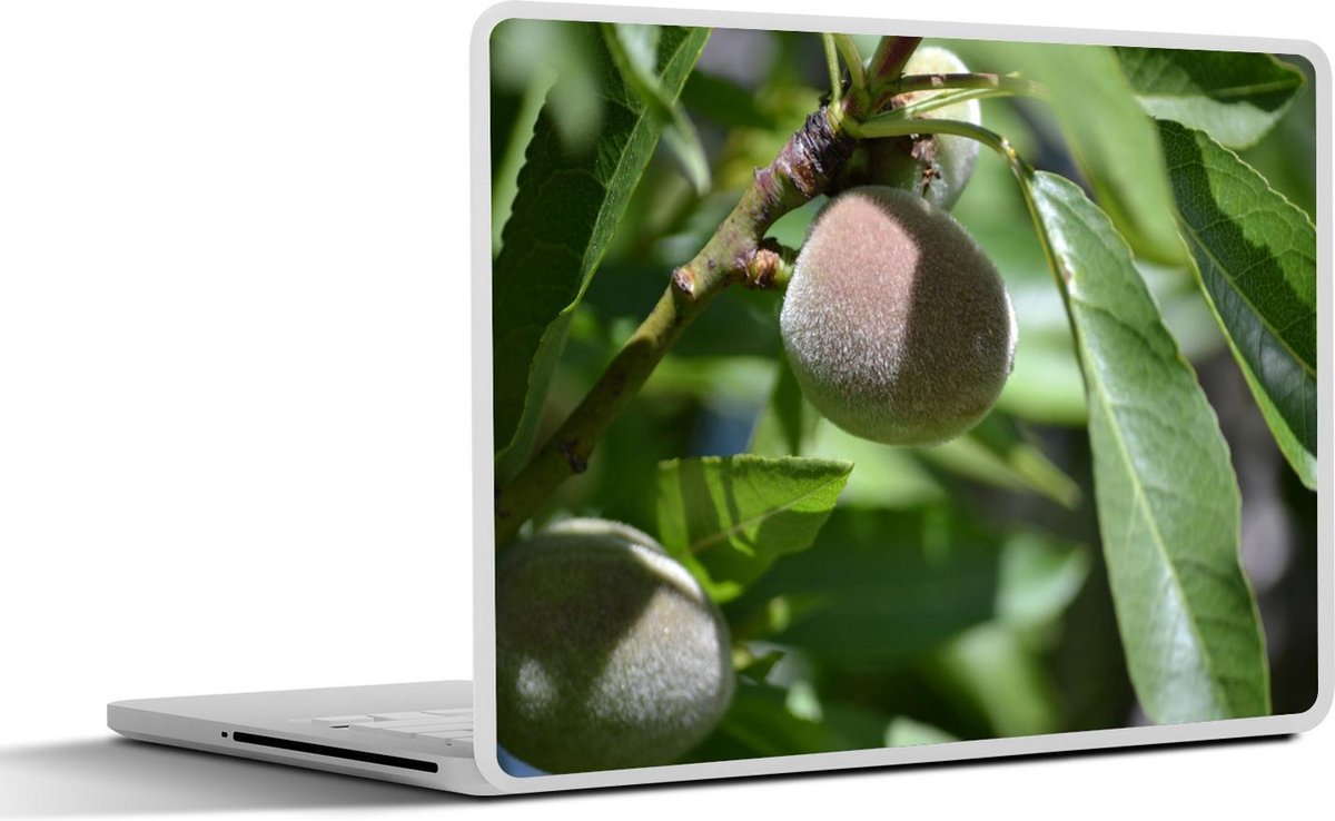 Laptop sticker - 10.1 inch - Amandelnoot aan amandelboom