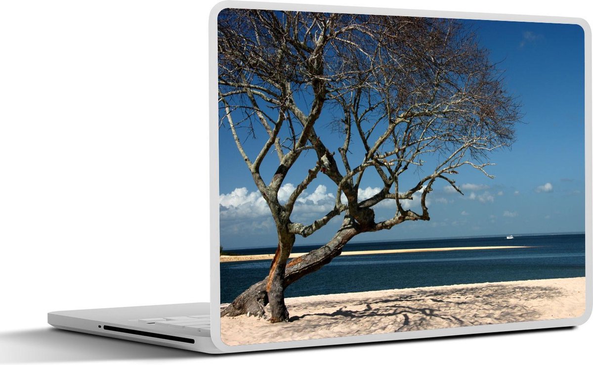 Laptop sticker - 10.1 inch - Amazone