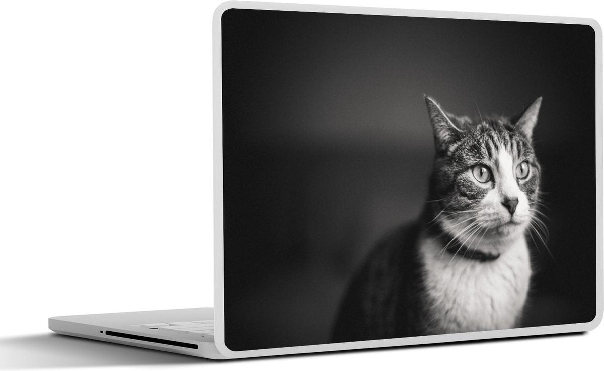 Laptop sticker - 10.1 inch -  een gestreepte kat