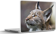 Laptop sticker - 10.1 inch -  een lynx die omhoog kijkt