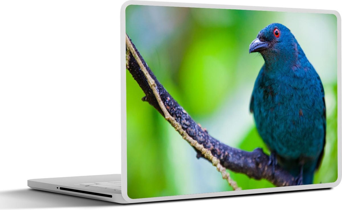 Laptop sticker - 10.1 inch - Indische blauwrug zittend op een tak