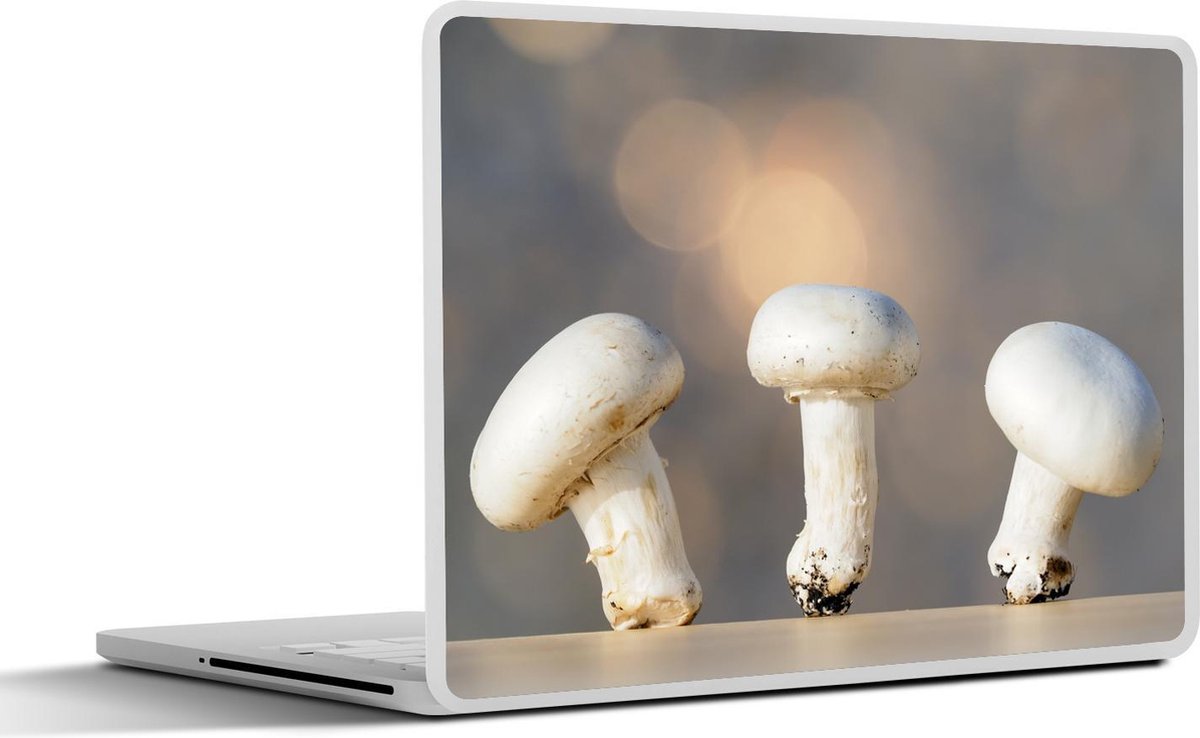 Laptop sticker - 10.1 inch - Aantal paddenstoelen op een tafel